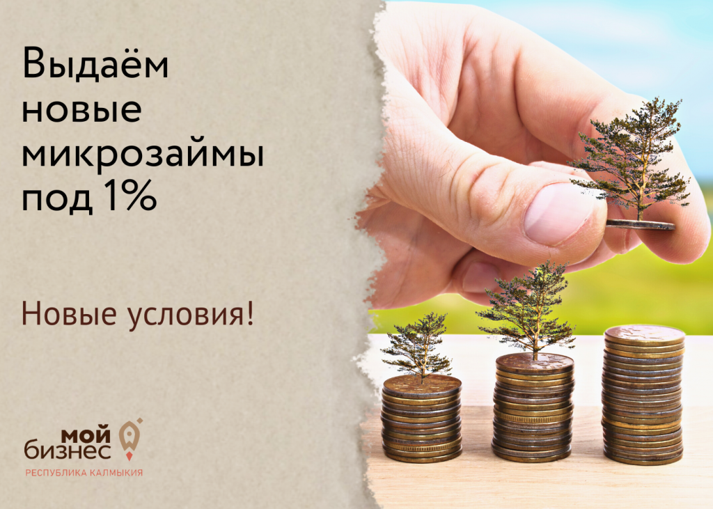 Центр «Мой бизнес» Калмыкии выдаёт новые микрозаймы